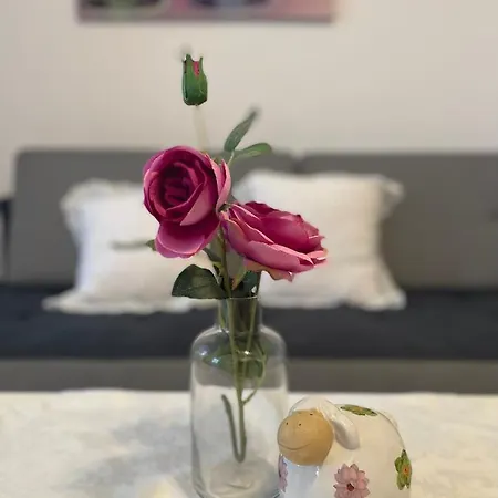 Marzenie Apartamet 2 Pokojowy