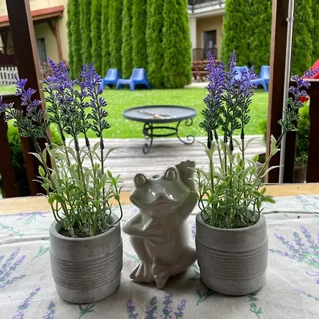 Apartmán Marzenie Apartamet 2 Pokojowy Wdzydze Kiszewskie