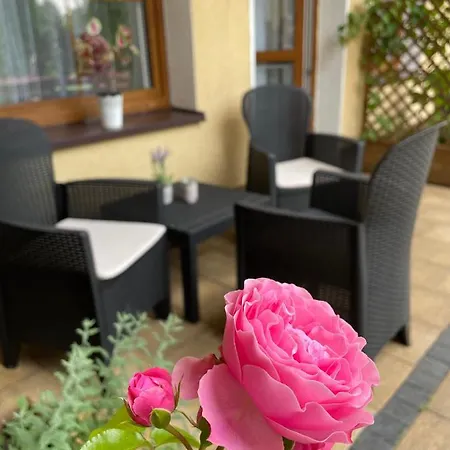 Marzenie Apartamet 2 Pokojowy * Wdzydze Kiszewskie